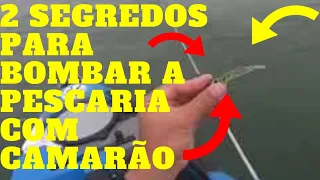 2 SEGREDOS PARA BOMBAR A SUA PESCARIA COM CAMARÃO ARTIFICIAL nas pedras do MAR. Pesca de Caiaque