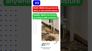 🦠 Mold Removal: Debunking the 5 Most Common Myths | Utah Flood Cleanup