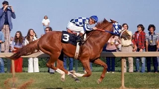 Preakness Stakes 1973