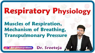 Muscles of respiration, Mechanism of breathing, Transpulmonary pressure : Physiology USMLE Step 1