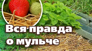 КАК ПОВЫСИТЬ ПЛОДОРОДИЕ. ПРАВИЛА МУЛЬЧИРОВАНИЯ ОТ А ДО Я