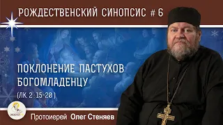 Рождественский синопсис #6. Поклонение пастухов Богомладенцу (Лк. 2:15-20).  Протоиерей Олег Стеняев