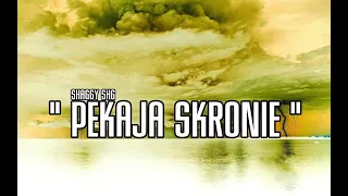 SHAGGY SHG - PĘKAJĄ SKRONIE (2021)