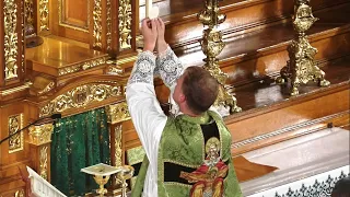 Live Stream - Sunday Mass - (2002 Missal) February 19th