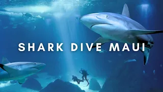 Close Encounter with Sharks while Scuba Diving in Maui, Hawaii