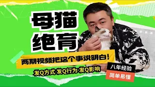 母猫绝育那些事！两期视频彻底把这个事说清楚~（上集）