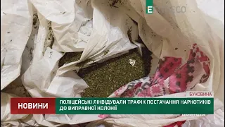 Поліцейські ліквідували трафік постачання наркотиків до виправної колонії