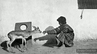 Paul Nadar: From Turkey to Turkistan, 1890 Люди Туркестана. 5 часть