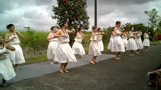 Hawaiian Hula Dance