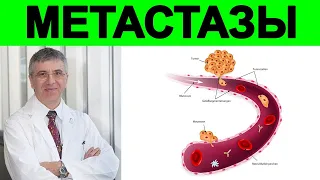 Ночная жизнь раковых метастазов -  Ришар Беливо