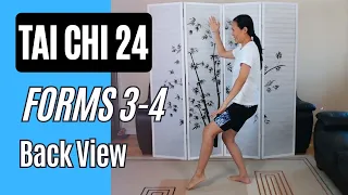 Tai Chi 24, Forms 3-4 White Crane & Brush Knee Back View with Instructions