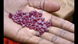 "MAASAI LAND" - Rubies from Longido, Tanzania