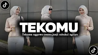 DJ TEKOMU NGGOWO TRESNO, JANJI RABAKAL NGLIYO || MENGKANE VIRAL SOUND TIKTOK 2024