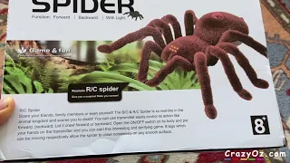 Radio Controlled Spider from AliExpress Unboxing