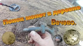 Поиск монет д  Вачево / Search for coins with a metal detector