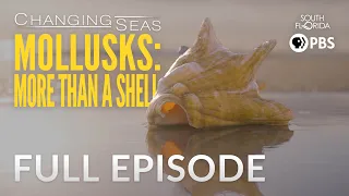 Mollusks: More than a Shell - Full Episode