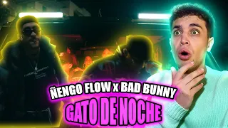 BAD BUNNY POR FIN ME DEJÓ SUBIR ESTE VÍDEO (REACCIÓN) Ñengo Flow, Bad Bunny - Gato de Noche