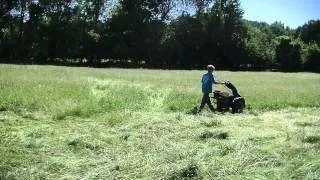 Cutting Hay with a BCS Tractor and Sickle Mower Attachment