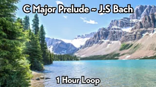 C Major Prelude ~ J.S Bach | 1 Hour Loop