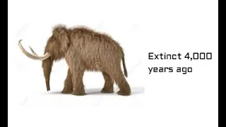 Amazing Extinct Animals Name, Pictures and Details