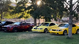 Car show Mach 1 terminator cobra GT500 coyote 5.0 corvette Z06 60th anniversary & more