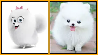 The Secret Life Of Pets In Real Life