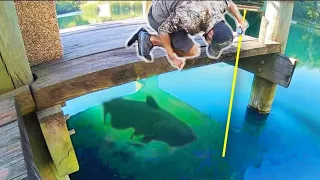 CAN WE CATCH THIS DOCK MONSTER??! (INSANE)