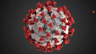 Antibody Test to Identify Novel Coronavirus | Novel Coronavirus | COVID-19 | Corona Virus  #shorts