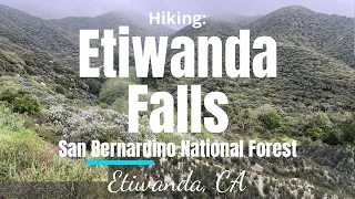 Hike #293N: Etiwanda Falls, San Bernardino National Forest, Etiwanda, CA (Narrative Version)