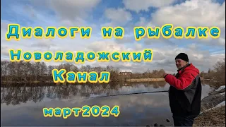 ДИАЛОГИ НА РЫБАЛКЕ. НОВОЛАДОЖСКИЙ КАНАЛ. #рыбалка #fishing #диалог