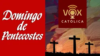 Liturgia Diária DOMINGO 19/05/2024 - PENTECOSTES - Com comentários