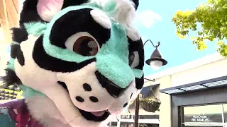 public fursuiting