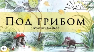 Под грибом | Владимир Сутеев | Осенние сказки | Аудиосказки с картинками | Для самых маленьких