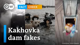 Kakhovka dam breach in Ukraine: What's real and what's fake? | DW Fact Check