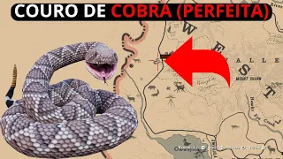 Red Dead Redemption 2 - Localização e Abate de Cobra Com Pele Perfeita -   RDR2