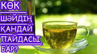 КӨК ШƏЙ. ЗЕЛЕНЫЙ ЧАЙ. КӨК ШƏЙДІҢ ПАЙДАСЫ🍵🍵🫖🫖