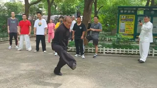 上海心意六合拳徐师父演练野马奔槽蛇形蹿拳