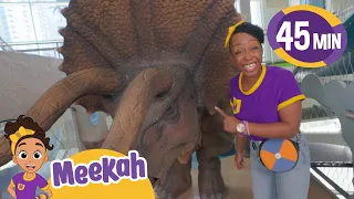 Meekah's Awesome Dino Adventure! | Learn Dinosaurs for Kids | Educational Videos