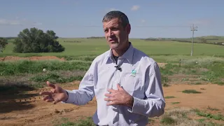 Nitrogen management following deep ripping of soil