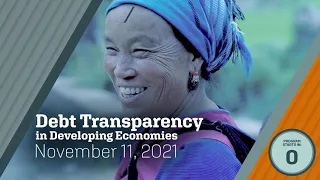 Debt Transparency in Developing Economies