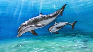 Watercolor Dolphins Painting Demonstration