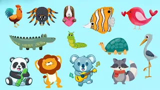 Animal sounds around us Cat, Meerkat, Dog, Moose, Pig, Leopard, Wolf, Kangaroo, Giraffe, Koala, Fox