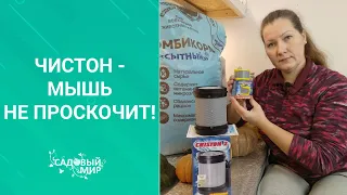 Мышь не проскочит! Проблема с грызунами в доме решена! Элементарный способ