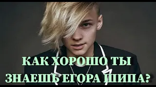 ЕГОР ШИП: КАК ХОРОШО ТЫ ЕГО ЗНАЕШЬ? / 10 СЕКУНД / ВИДЕО