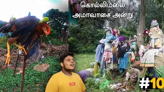 கொல்லிமலை ரகசியம் | Kolli Malai Secrets | EXPLORING KOLLI MALAI ON AMAVASAI | BREAKING MYTHS Kolli