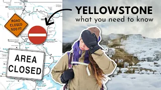 7 Must-Know Tips for Visiting YELLOWSTONE National Park in the WINTER *there are road closures*