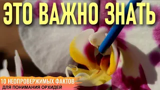 10 НЕОСПОРИМЫХ ФАКТОВ, КОТОРЫЕ ПОМОГУТ ВАМ ЛУЧШЕ ПОНЯТЬ ОРХИДЕИ! ЭТО ВАЖНО ЗНАТЬ КАЖДОМУ НОВИЧКУ!