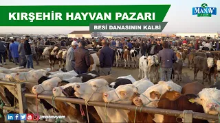 Kırşehir Hayvan Pazarı | Doya Doya Hayvan Pazarı | Besiciler Kaçırmasın