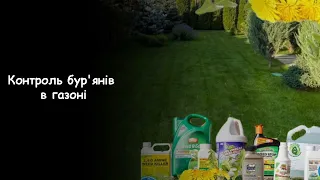 Розумний гербіцид для газону. Як позбутися бур'янів - професійні поради від Авторського газону!