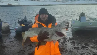 ТЕРИБЕРКА, где обитают "МОНСТРЫ" БАРЕНЦЕВА МОРЯ? Териберка, Trophy "monsters" of the Barents Sea.